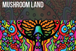 Mushroom Land 